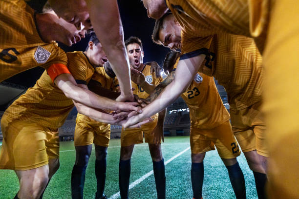 球员法比奥 球员法比奥